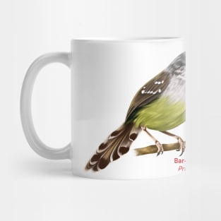 Bar-winged Prinia | Prinia familiaris Mug